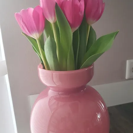 Enjoy Muensterland Und Achterhoek Apartamento *