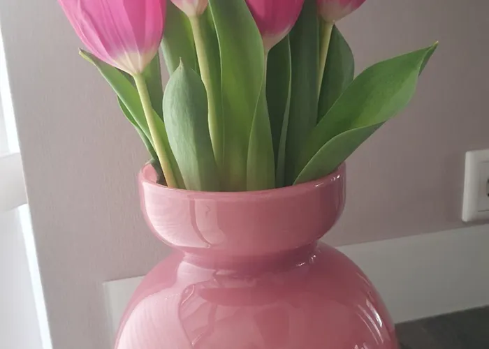 Enjoy Muensterland Apartment *